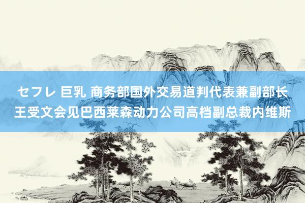 セフレ 巨乳 商务部国外交易道判代表兼副部长王受文会见巴西莱森动力公司高档副总裁内维斯