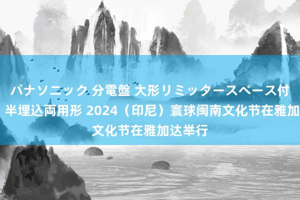 パナソニック 分電盤 大形リミッタースペース付 露出・半埋込両用形 2024（印尼）寰球闽南文化节在雅加达举行