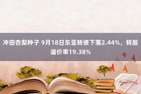 冲田杏梨种子 9月18日东亚转债下落2.44%，转股溢价率19.38%