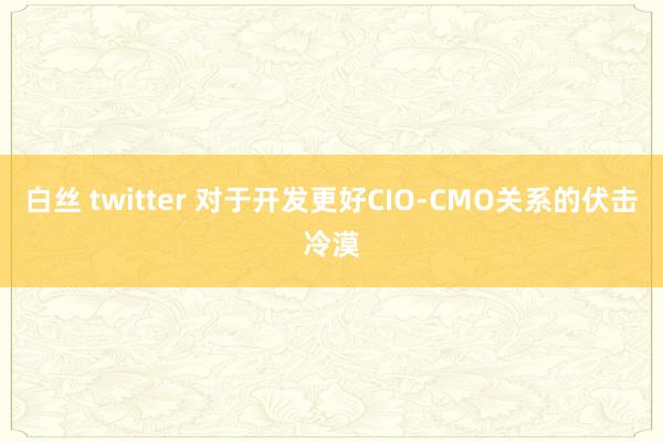 白丝 twitter 对于开发更好CIO-CMO关系的伏击冷漠