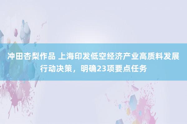 冲田杏梨作品 上海印发低空经济产业高质料发展行动决策，明确23项要点任务