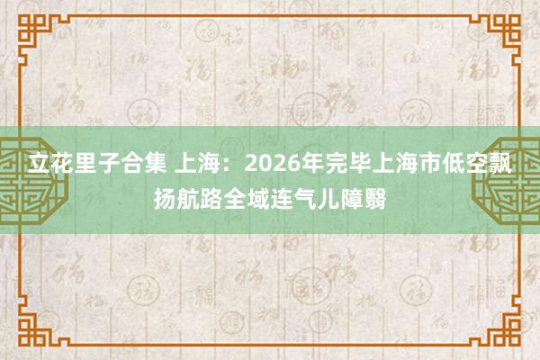 立花里子合集 上海：2026年完毕上海市低空飘扬航路全域连气儿障翳