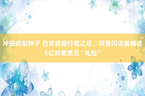 冲田杏梨种子 白宫谎报行程之后，拜登闪访基辅送5亿好意思元“礼包”