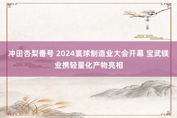 冲田杏梨番号 2024寰球制造业大会开幕 宝武镁业携轻量化产物亮相