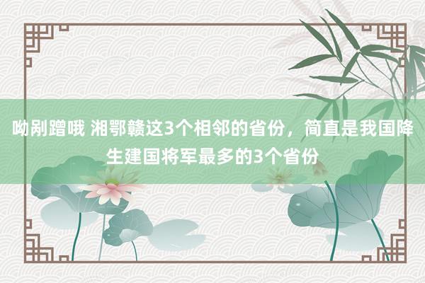 呦剐蹭哦 湘鄂赣这3个相邻的省份，简直是我国降生建国将军最多的3个省份