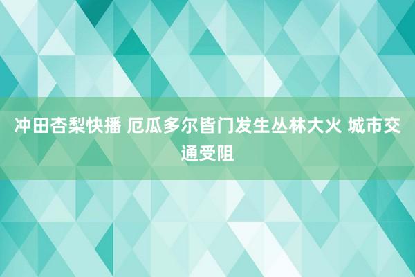 冲田杏梨快播 厄瓜多尔皆门发生丛林大火 城市交通受阻