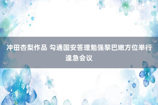 冲田杏梨作品 勾通国安答理勉强黎巴嫩方位举行遑急会议