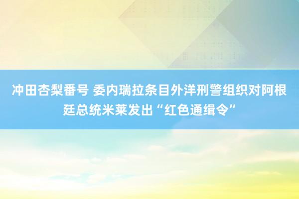 冲田杏梨番号 委内瑞拉条目外洋刑警组织对阿根廷总统米莱发出“红色通缉令”