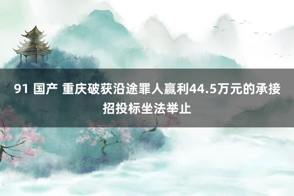 91 国产 重庆破获沿途罪人赢利44.5万元的承接招投标坐法举止