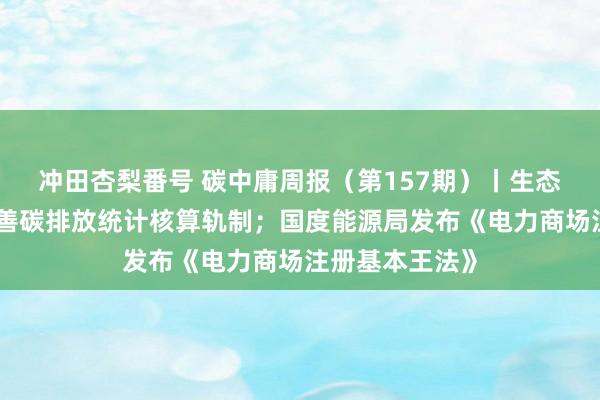 冲田杏梨番号 碳中庸周报（第157期）丨生态环境部：将完善碳排放统计核算轨制；国度能源局发布《电力商场注册基本王法》