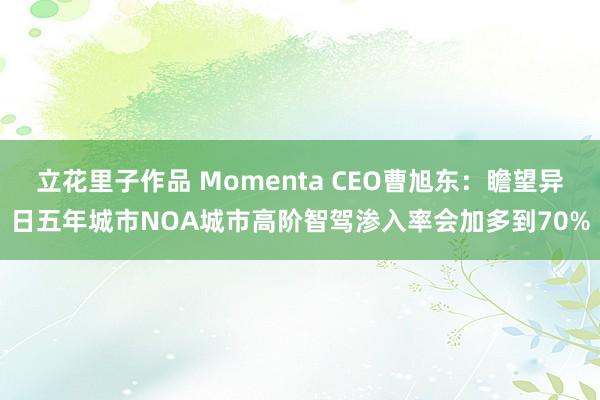 立花里子作品 Momenta CEO曹旭东：瞻望异日五年城市NOA城市高阶智驾渗入率会加多到70%