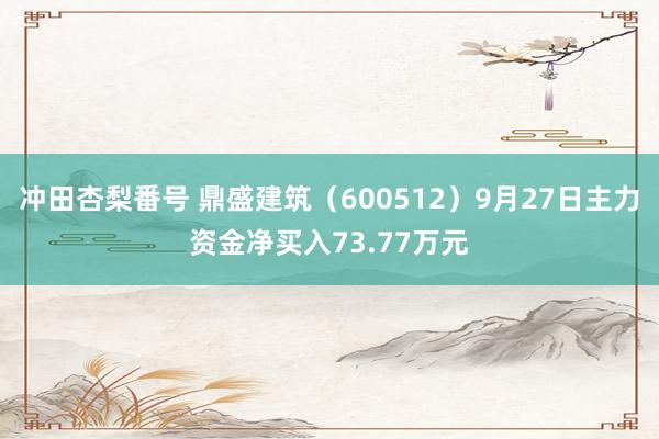 冲田杏梨番号 鼎盛建筑（600512）9月27日主力资金净买入73.77万元