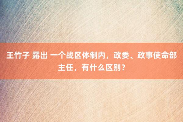 王竹子 露出 一个战区体制内，政委、政事使命部主任，有什么区别？