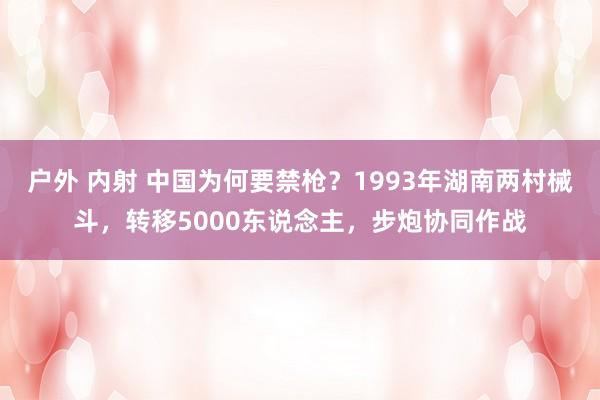 户外 内射 中国为何要禁枪？1993年湖南两村械斗，转移5000东说念主，步炮协同作战