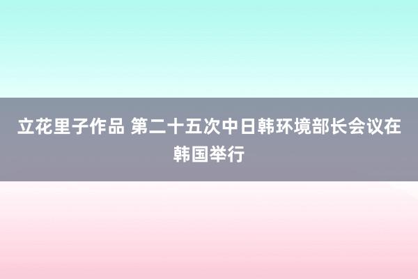 立花里子作品 第二十五次中日韩环境部长会议在韩国举行