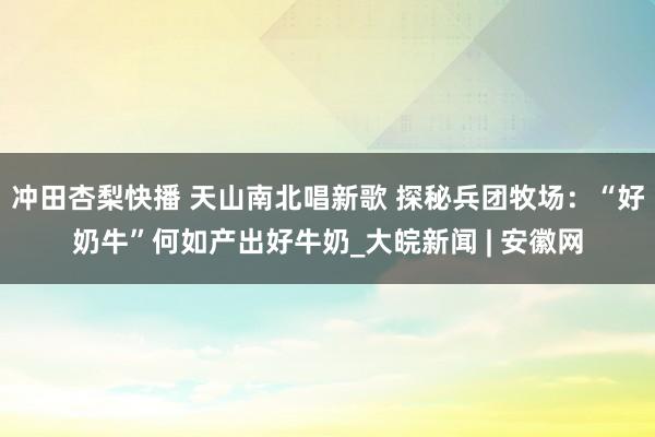 冲田杏梨快播 天山南北唱新歌 探秘兵团牧场：“好奶牛”何如产出好牛奶_大皖新闻 | 安徽网