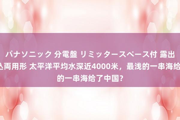 パナソニック 分電盤 リミッタースペース付 露出・半埋込両用形 太平洋平均水深近4000米，最浅的一串海给了中国？