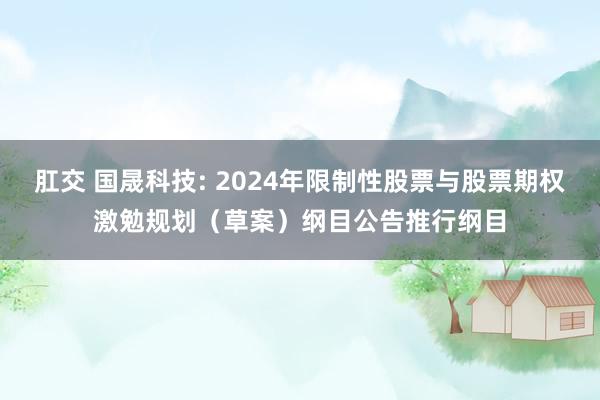 肛交 国晟科技: 2024年限制性股票与股票期权激勉规划（草案）纲目公告推行纲目