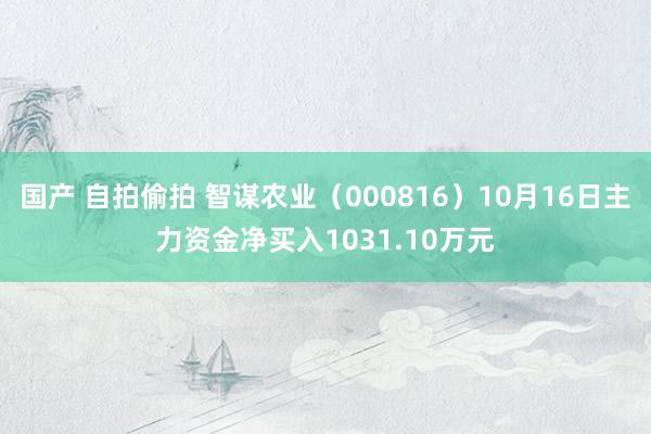 国产 自拍偷拍 智谋农业（000816）10月16日主力资金净买入1031.10万元