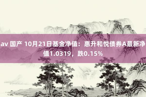 av 国产 10月21日基金净值：惠升和悦债券A最新净值1.0319，跌0.15%