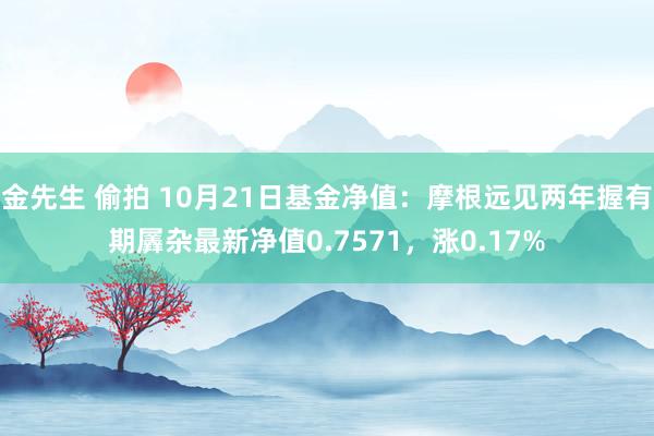 金先生 偷拍 10月21日基金净值：摩根远见两年握有期羼杂最新净值0.7571，涨0.17%