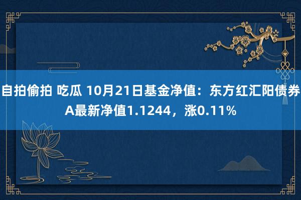 自拍偷拍 吃瓜 10月21日基金净值：东方红汇阳债券A最新净值1.1244，涨0.11%