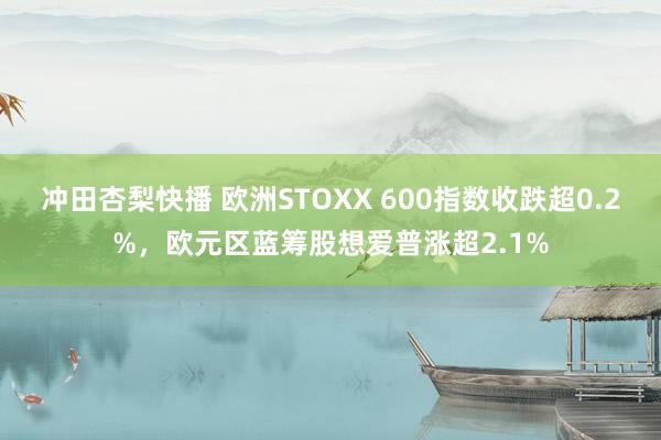 冲田杏梨快播 欧洲STOXX 600指数收跌超0.2%，欧元区蓝筹股想爱普涨超2.1%