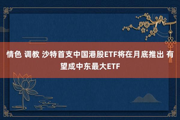 情色 调教 沙特首支中国港股ETF将在月底推出 有望成中东最大ETF