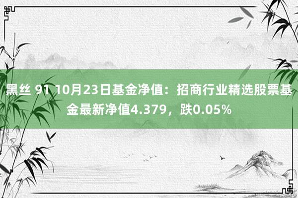 黑丝 91 10月23日基金净值：招商行业精选股票基金最新净值4.379，跌0.05%