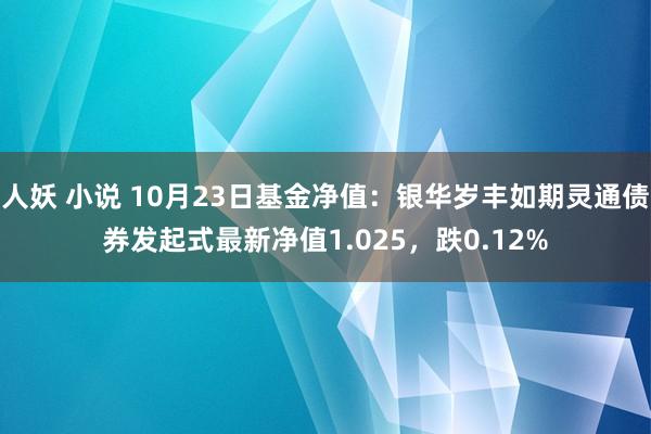 人妖 小说 10月23日基金净值：银华岁丰如期灵通债券发起式最新净值1.025，跌0.12%