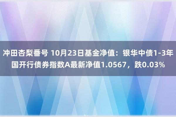 冲田杏梨番号 10月23日基金净值：银华中债1-3年国开行债券指数A最新净值1.0567，跌0.03%