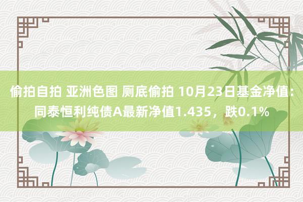 偷拍自拍 亚洲色图 厕底偷拍 10月23日基金净值：同泰恒利纯债A最新净值1.435，跌0.1%