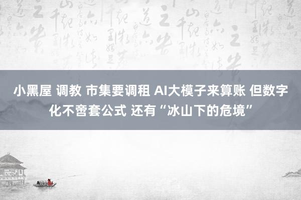 小黑屋 调教 市集要调租 AI大模子来算账 但数字化不啻套公式 还有“冰山下的危境”