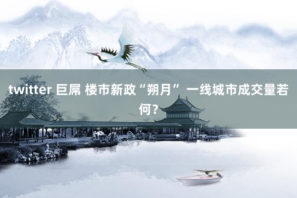 twitter 巨屌 楼市新政“朔月” 一线城市成交量若何？