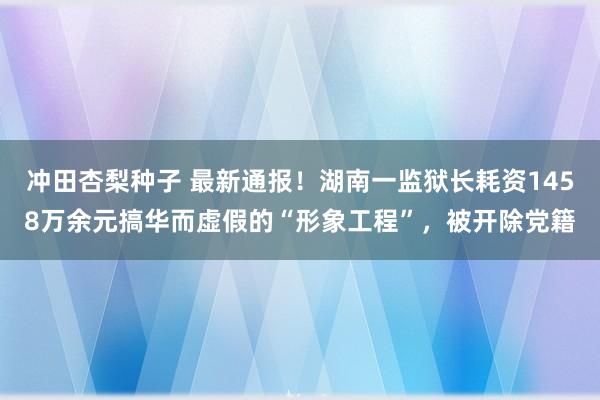 冲田杏梨种子 最新通报！湖南一监狱长耗资1458万余元搞华而虚假的“形象工程”，被开除党籍