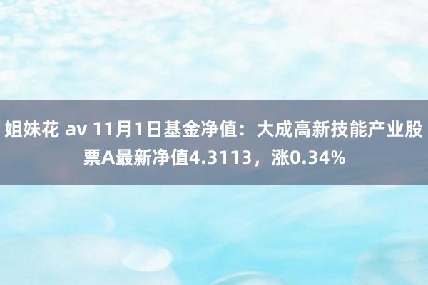 姐妹花 av 11月1日基金净值：大成高新技能产业股票A最新净值4.3113，涨0.34%