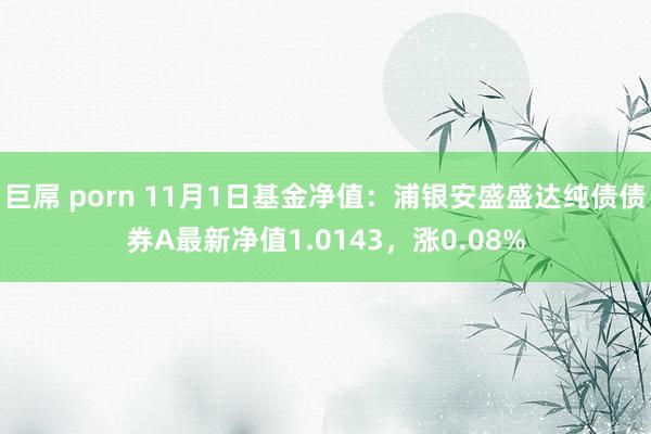 巨屌 porn 11月1日基金净值：浦银安盛盛达纯债债券A最新净值1.0143，涨0.08%