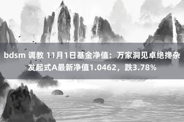 bdsm 调教 11月1日基金净值：万家洞见卓绝搀杂发起式A最新净值1.0462，跌3.78%