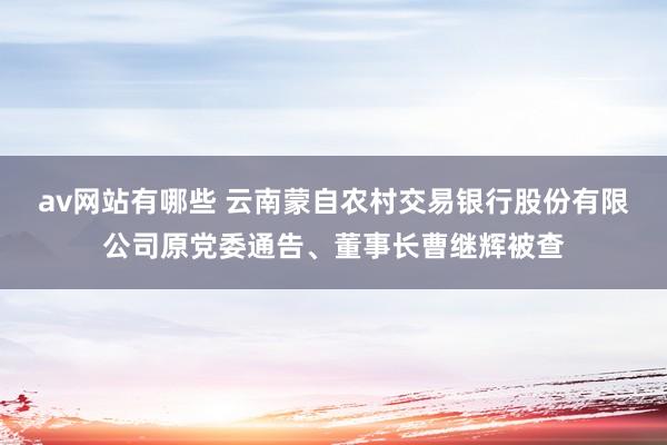 av网站有哪些 云南蒙自农村交易银行股份有限公司原党委通告、董事长曹继辉被查