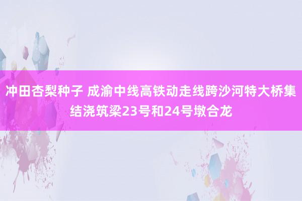 冲田杏梨种子 成渝中线高铁动走线跨沙河特大桥集结浇筑梁23号和24号墩合龙