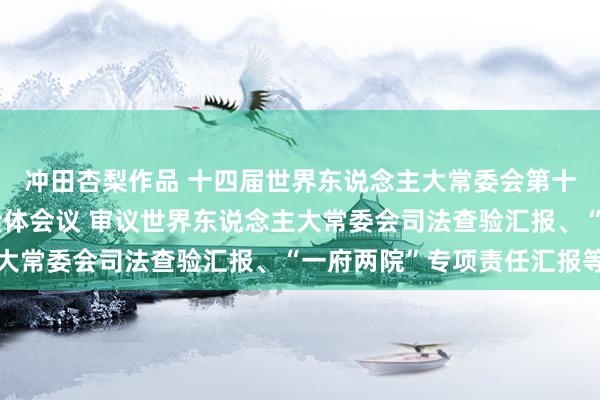 冲田杏梨作品 十四届世界东说念主大常委会第十二次会议举行第二次全体会议 审议世界东说念主大常委会司法查验汇报、“一府两院”专项责任汇报等