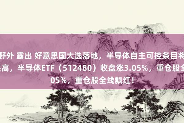 野外 露出 好意思国大选落地，半导体自主可控条目将进一步提高，半导体ETF（512480）收盘涨3.05%，重仓股全线飘红！