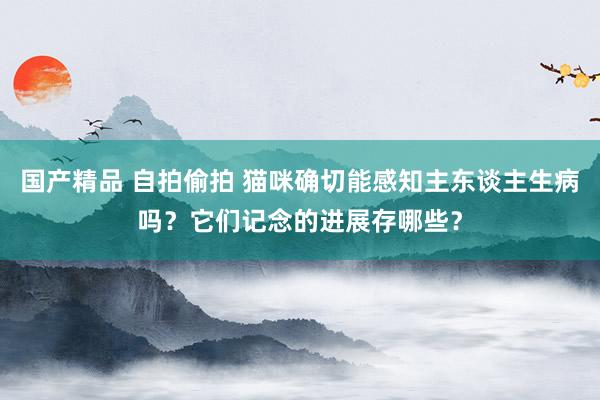 国产精品 自拍偷拍 猫咪确切能感知主东谈主生病吗？它们记念的进展存哪些？