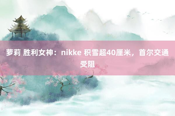 萝莉 胜利女神：nikke 积雪超40厘米，首尔交通受阻