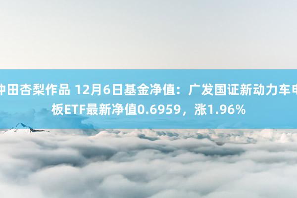 冲田杏梨作品 12月6日基金净值：广发国证新动力车电板ETF最新净值0.6959，涨1.96%