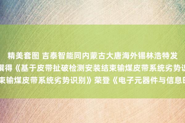 精美套图 吉泰智能同内蒙古大唐海外锡林浩特发电有限包袱公司协力编撰得《基于皮带扯破检测安装结束输煤皮带系统劣势识别》荣登《电子元器件与信息时候》