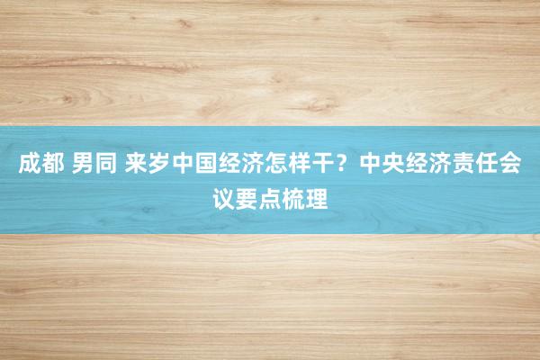 成都 男同 来岁中国经济怎样干？中央经济责任会议要点梳理