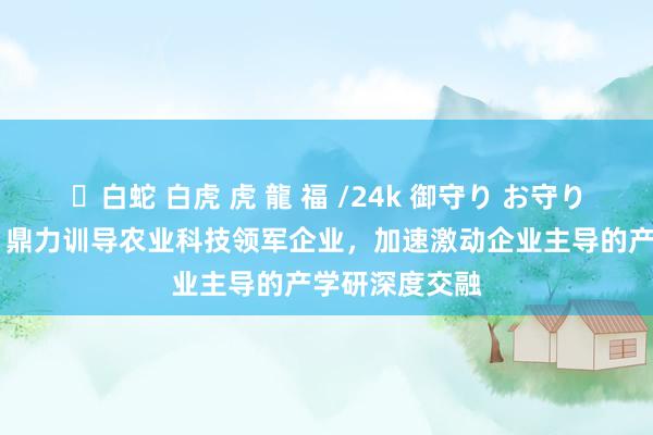 ✨白蛇 白虎 虎 龍 福 /24k 御守り お守り 农业农村部：鼎力训导农业科技领军企业，加速激动企业主导的产学研深度交融