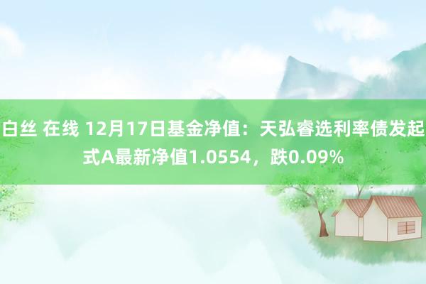 白丝 在线 12月17日基金净值：天弘睿选利率债发起式A最新净值1.0554，跌0.09%