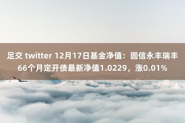 足交 twitter 12月17日基金净值：圆信永丰瑞丰66个月定开债最新净值1.0229，涨0.01%